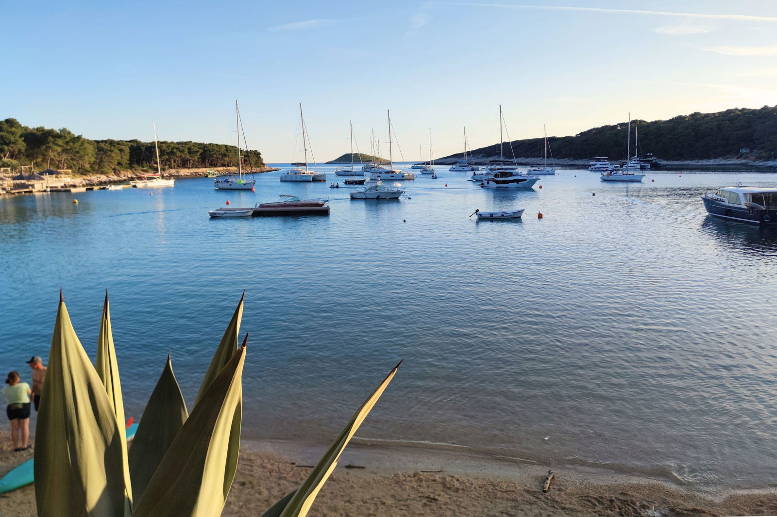 Evening at Palmižana